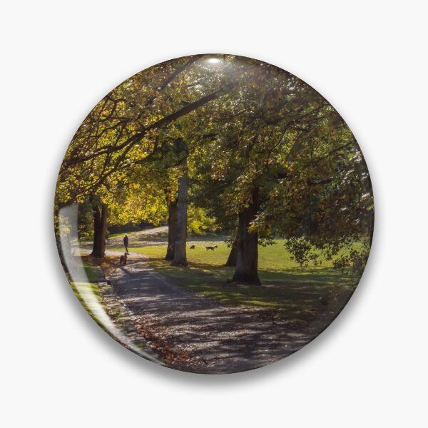 Artikelvorschau, der Weg durch den Stadtpark entworfen und verkauft von JoeEJackson.