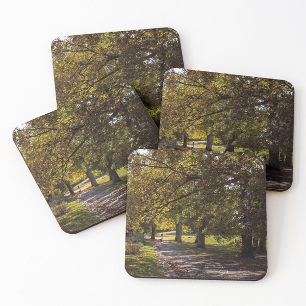 Item preview, the path though the city park designed and sold by JoeEJackson.