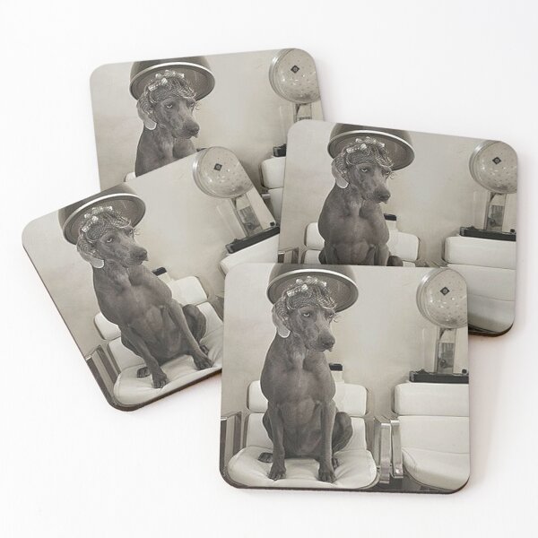 Item preview, Vintage dog cute photo Dogs retro pet barber retro grooming pets designed and sold by Coolstuff4you71.
