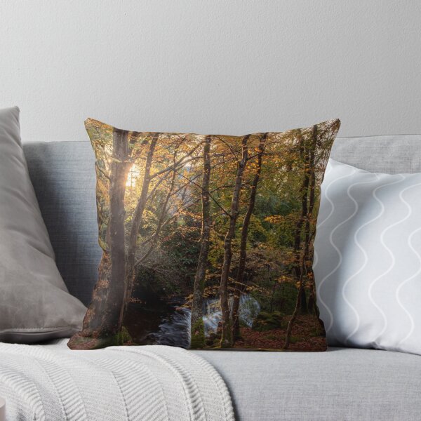 Item preview, light shining through the sunlight falls designed and sold by JoeEJackson.