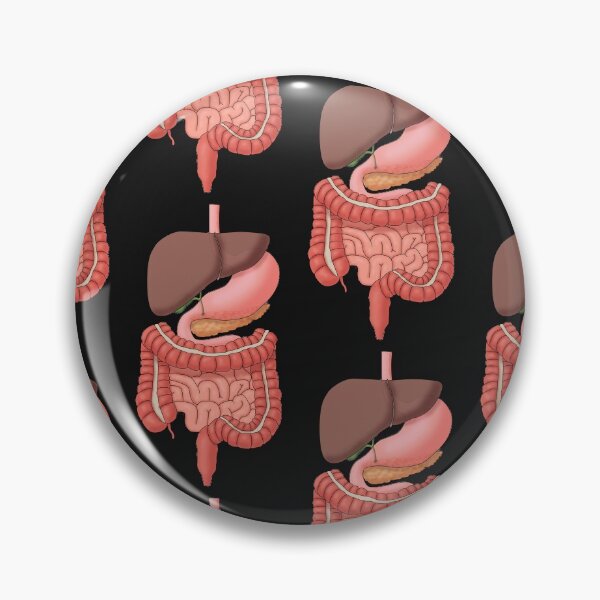 Item preview, Digestive System Organs, Medical Illustration designed and sold by ScienceSource.