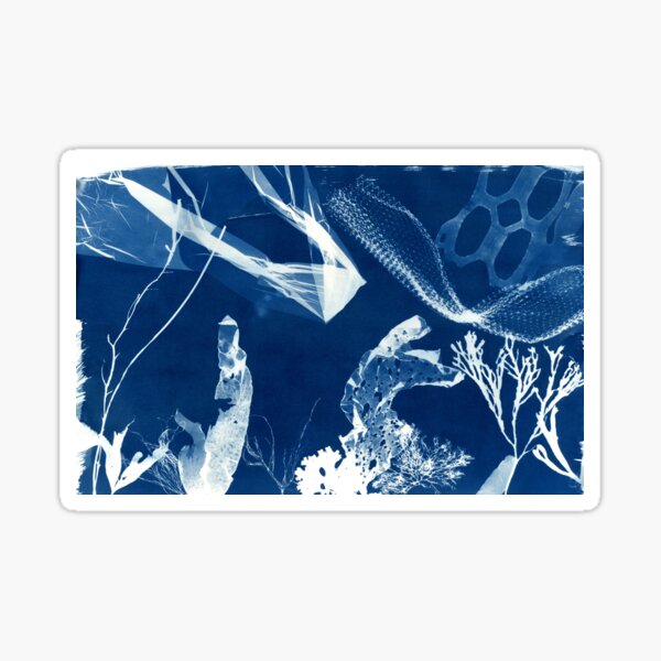 Untitled Cyanotype #5- Cyanotype Impressions of the Atlantic Ocean in Maine Sticker
