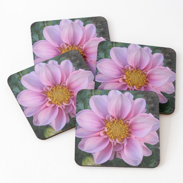 Item preview, Soft Mauve designed and sold by justbmac.