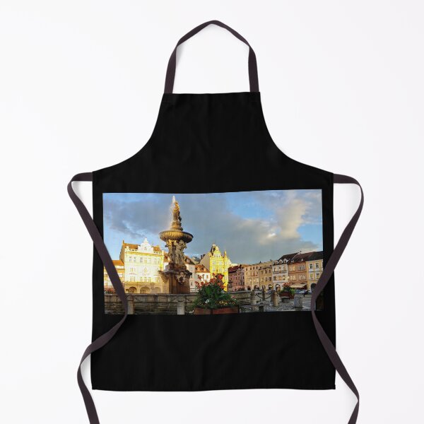 Item preview, Czech Republic, Ceske Budejovice, View of Picturesque Old Town in the Czech Republic designed and sold by ProudAcademic.
