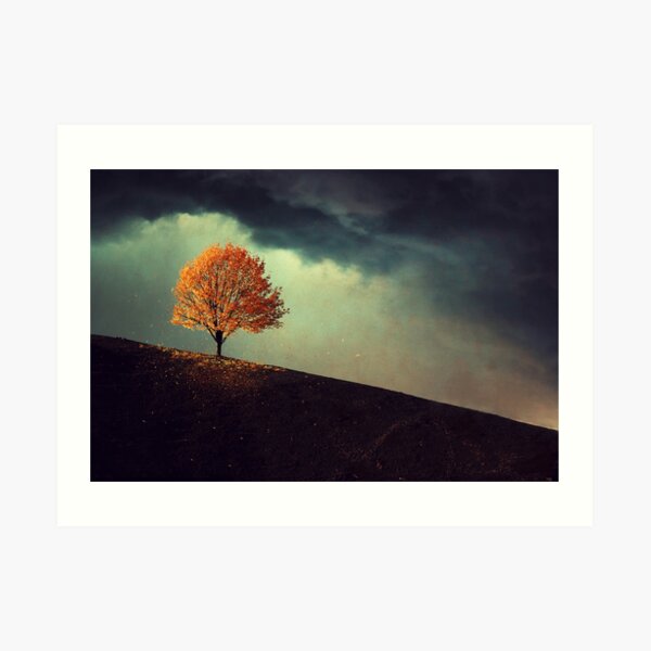 Fall Art Print