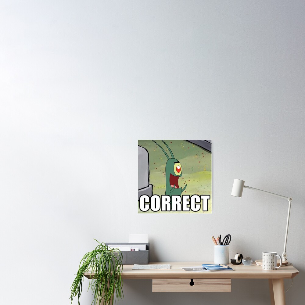 Correct Meme Poster For Sale By Shellysshop Redbubble