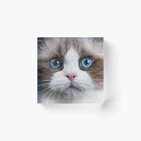 Item preview, CAt face designed and sold by joanaoberg.