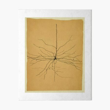 Item preview, Pyramidal Cell in Cerebral Cortex, Cajal Illustration designed and sold by ScienceSource.