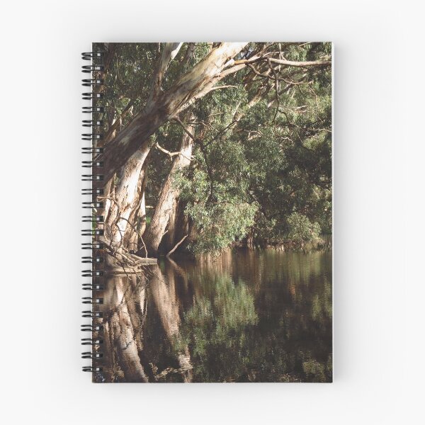 Aperçu de l'œuvre Duck Lagoon - l'autre côté créée et vendue par outbackjack.