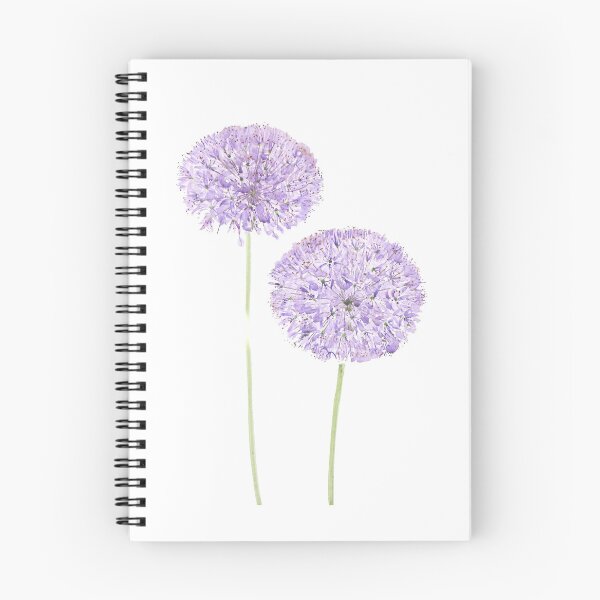 Item preview, hand painted 2 purple Allium ornamental onion watercolor  designed and sold by SelenePaintings .