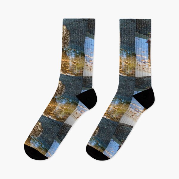 Item preview, Fierce Neighbor designed and sold by Laurie Allee.