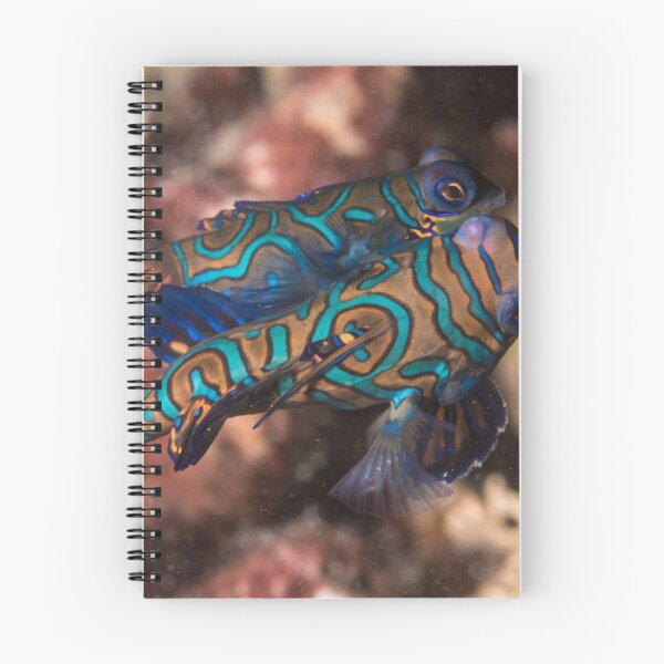 Item preview, Mandarinfish Spawning designed and sold by Mark Rosenstein.
