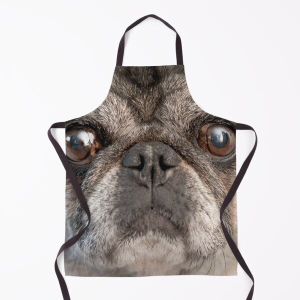 Item preview, Pug face designed and sold by joanaoberg.