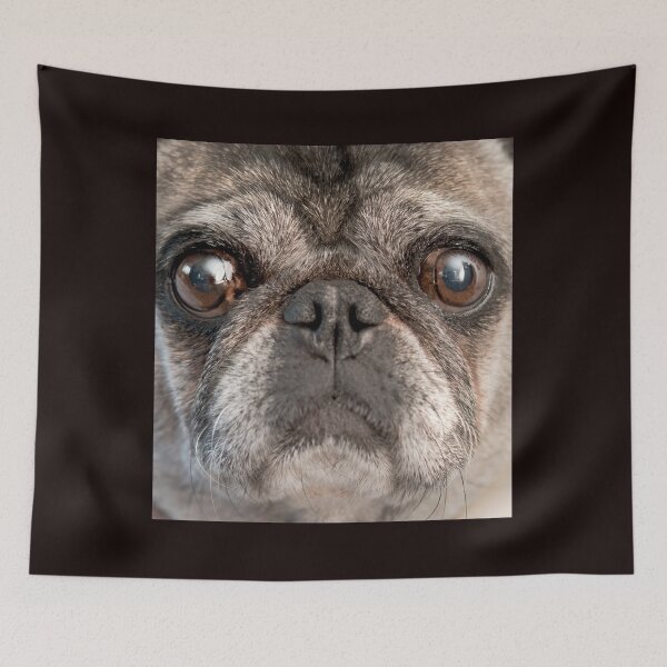Item preview, Pug face designed and sold by joanaoberg.