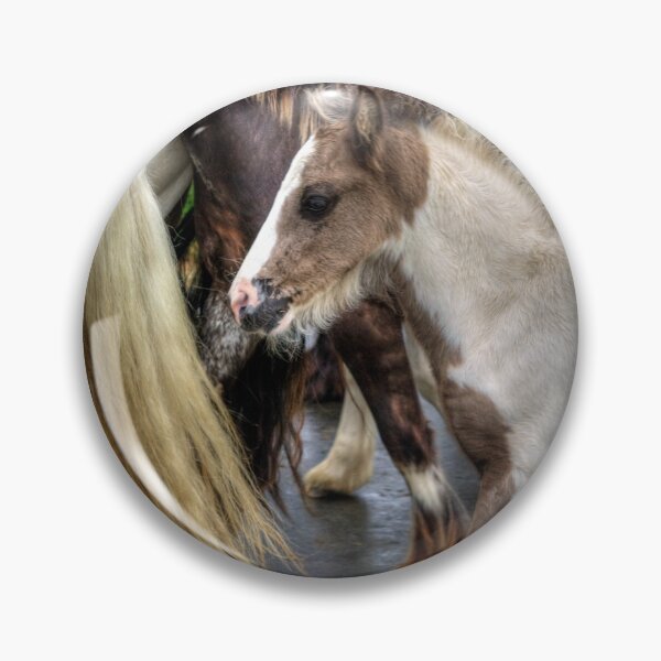 Item preview, Foal at the Appleby Horse Fair designed and sold by tomg.