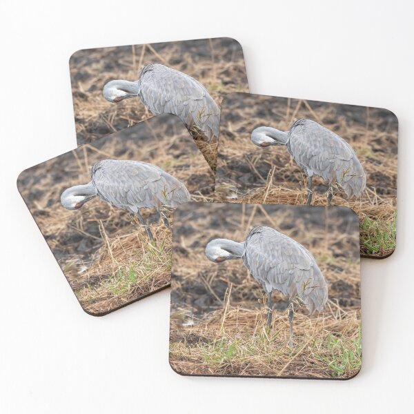 Item preview, Preening Sandhill Crane 2020-1 designed and sold by Thomasyoung.