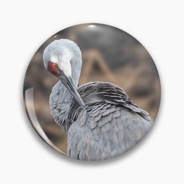 Item preview, Preening Sandhill Crane 2020-2 designed and sold by Thomasyoung.