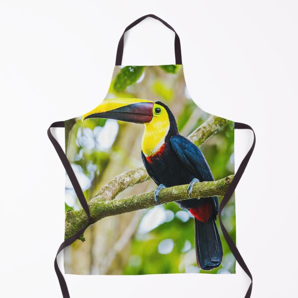 Item preview, Toucan on a Branch designed and sold by Jukka Heilimo.
