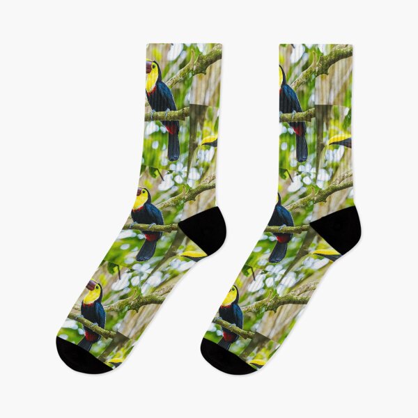 Item preview, Toucan on a Branch designed and sold by Jukka Heilimo.