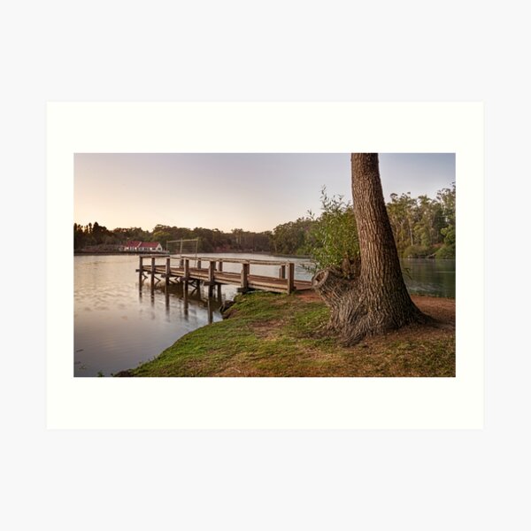 First Light Lake Daylesford Art Print