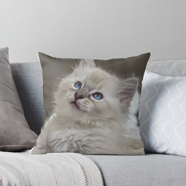 Item preview, Lynx Ragdoll kitten designed and sold by Fluffycat2020.