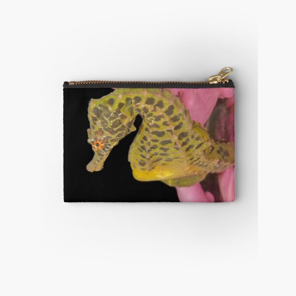 Item preview, Male Pot-Bellied Seahorse - "Mikhail" designed and sold by Andrew Trevor-Jones.