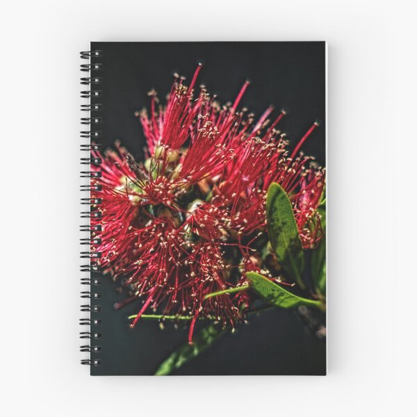 Item preview, Kunzea or Bottle brush flower Leith Park Victoria 20151109 0664   designed and sold by Fred Mitchell.