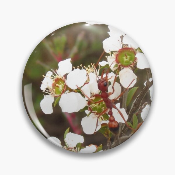 Item preview, photo bomb by an inch ant designed and sold by outbackjack.
