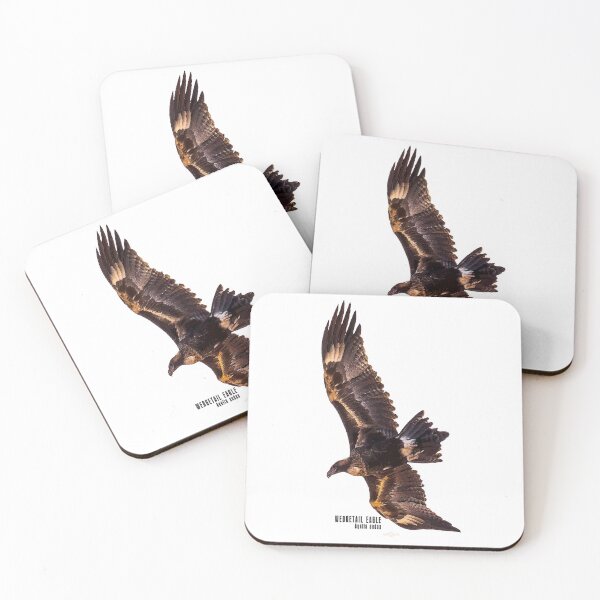 Item preview, Wedgetail Eagle_02C designed and sold by SEADOGPRINTS.