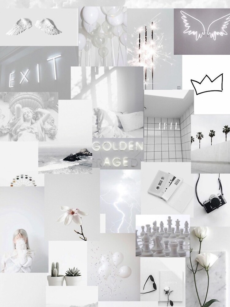 White aesthetic case