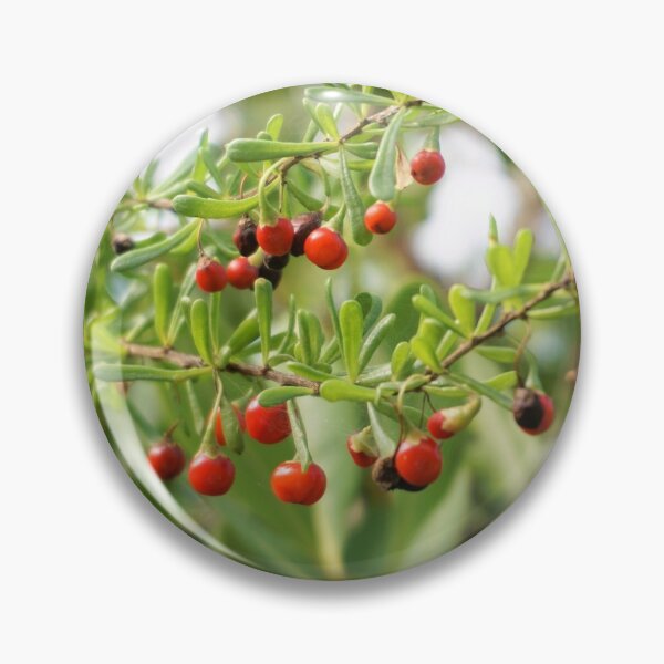 Item preview, Red Berries designed and sold by PinkAnchor.