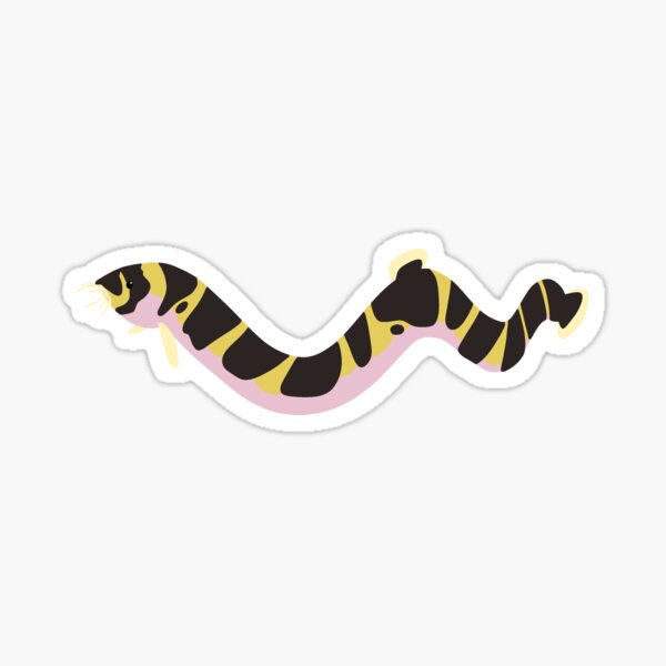 Kuhli loach!!!! Sticker