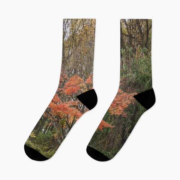 Item preview, Orange Leaves and Autumn Trees designed and sold by Graykat.