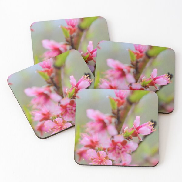 Item preview, Cherry Blossoms designed and sold by BattleMountain.