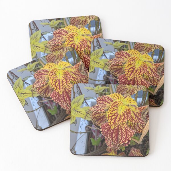 Item preview, Yellow Leaves and Red Veins designed and sold by Graykat.