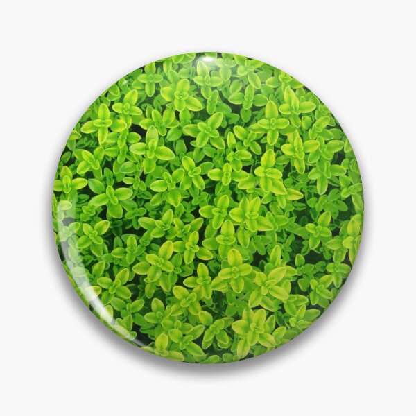 Aperçu de l'œuvre Feuilles de plantes créée et vendue par Wanato.