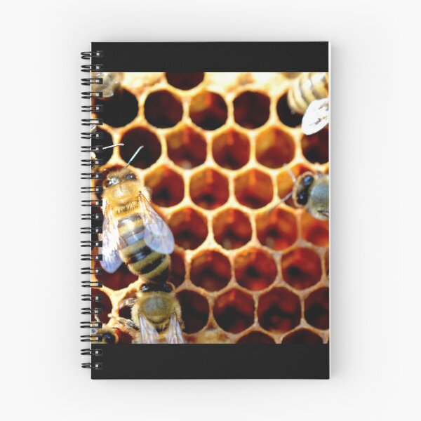 Item preview, Honey Comb designed and sold by BattleMountain.