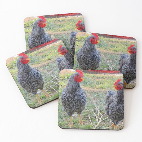 Item preview, Barred Rock Roosters designed and sold by BattleMountain.