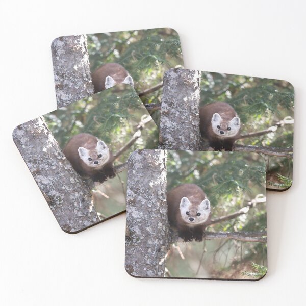 Item preview, American Marten designed and sold by mlorenz.
