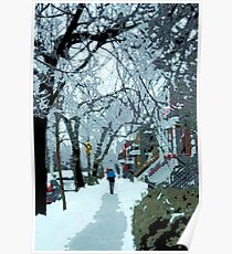 Montreal soft winter day Poster
