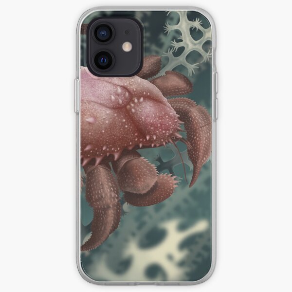 Paralomis debodeorum iPhone Soft Case