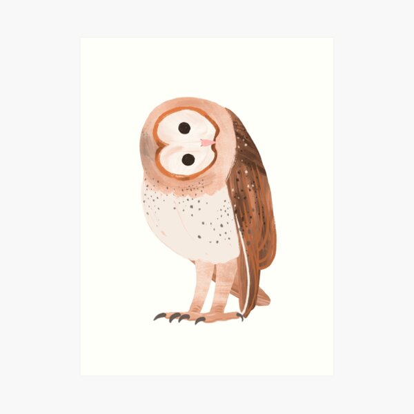 Barn Owl Art Print