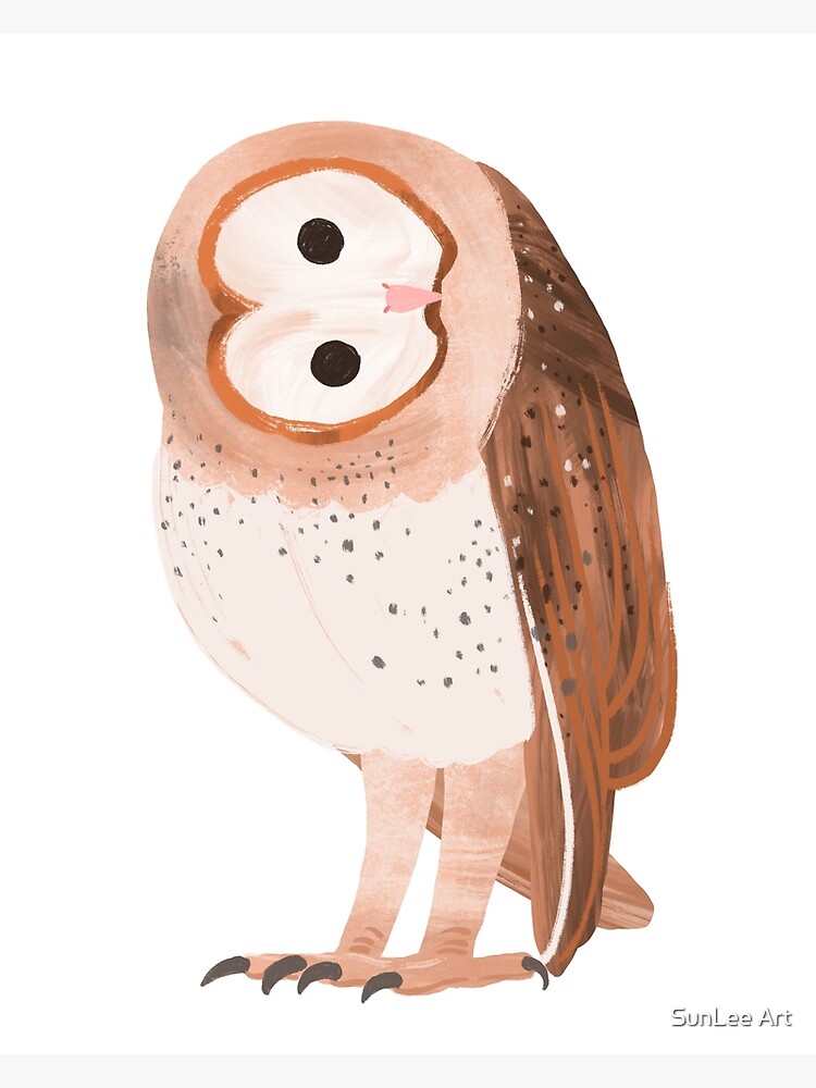 Barn Owl by sunleeart