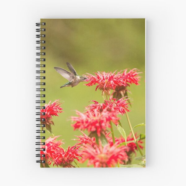 Item preview, Rubythroated Hummingbird 2014-5 designed and sold by Thomasyoung.