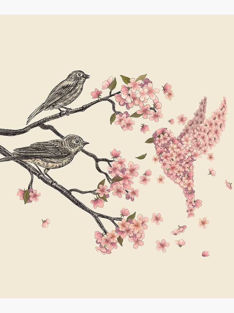 Blossom Bird by TerryFan