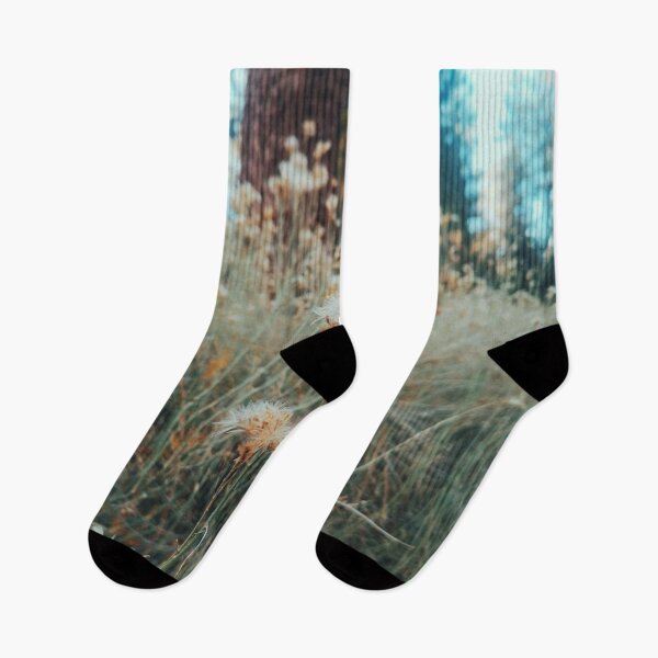 Item preview, Woodland Trail, Big Bear, California  designed and sold by Emilia Oxelheim.