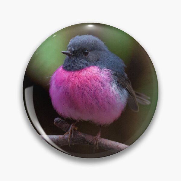 Item preview, Pink Robin designed and sold by DiomediaDesigns.