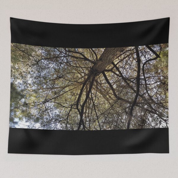 Item preview, Look to the Sky designed and sold by Nicola Leyh.