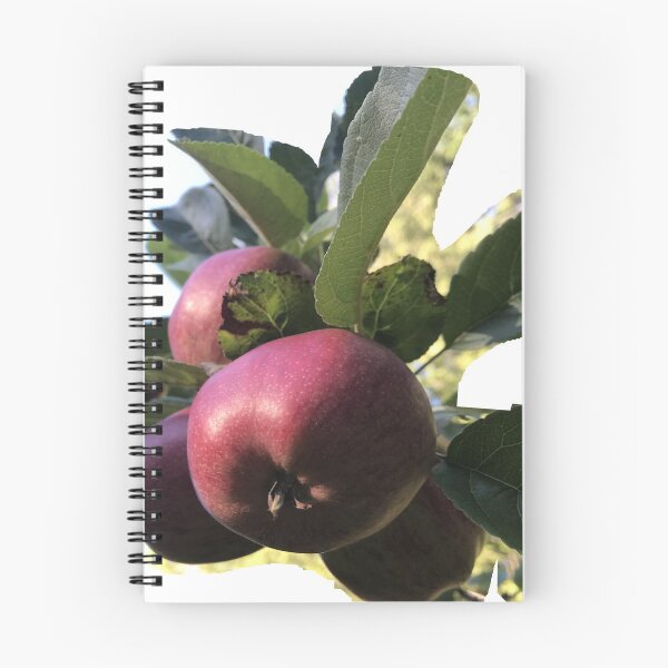 Item preview, A natural apple a bunch of them. Got to pick some fresh fruit. Interesting flora for a tshirt or tapestry or whatever. designed and sold by Designur4rb.