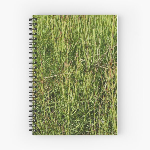 Item preview, horsetail close-up designed and sold by mrivserg.